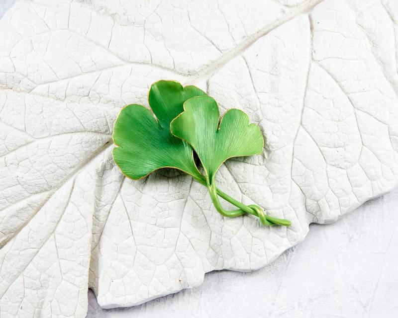 Ginkgo Biloba Blatt Brosche. Blattbrosche Auf Einer Jacke Ginkgo Biloba Blatt Brosche. Blattbrosche Auf Einer Jacke von polymerFlowers