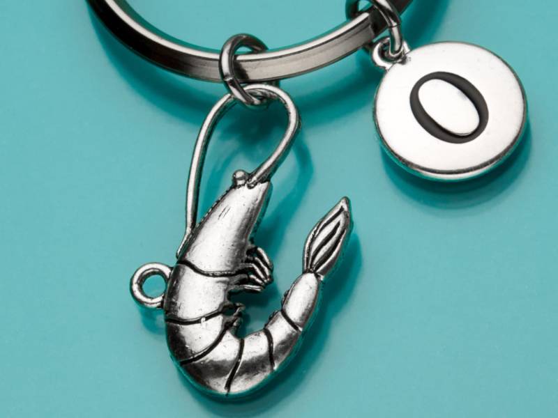 Garnelen-Schlüsselanhänger, Große Garnelen, Garnelen Schlüsselbund, Meer Kreatur, Anfängliche Keychain, Personalisierte Schlüsselanhänger von promisemeeverything2