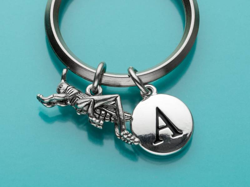 Heuschrecke Schlüsselbund, Grasshopper Schlüsselanhänger, Cricket Erste Personalisierte Benutzerdefinierte Schlüsselanhänger Charme 167 Heuschrecke Schlüsselbund, Grasshopper Schlüsselanhänger, Cricket Erste Personalisierte Benutzerdefinierte Schlüsselanhänger Charme 167 von promisemeeverything2