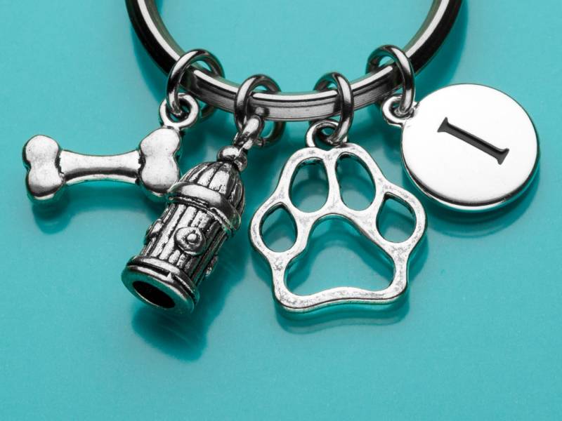 Hund Personalisierte Schlüsselanhänger, Schlüsselring Hund, Charms, Charm Haustier Charm, Keychain, Benutzerdefinierte Keychain Charme 106, 310, 460 von promisemeeverything2