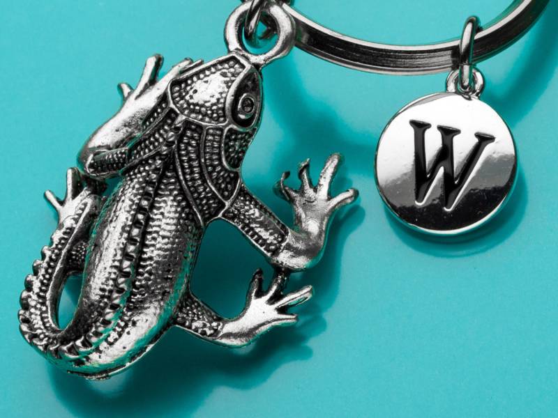 Leguan Schlüsselbund, Iguana-Schlüsselanhänger, Reptile Keychain, Anfängliche Personalisierte Benutzerdefinierte Keychain Charme 612 von promisemeeverything2