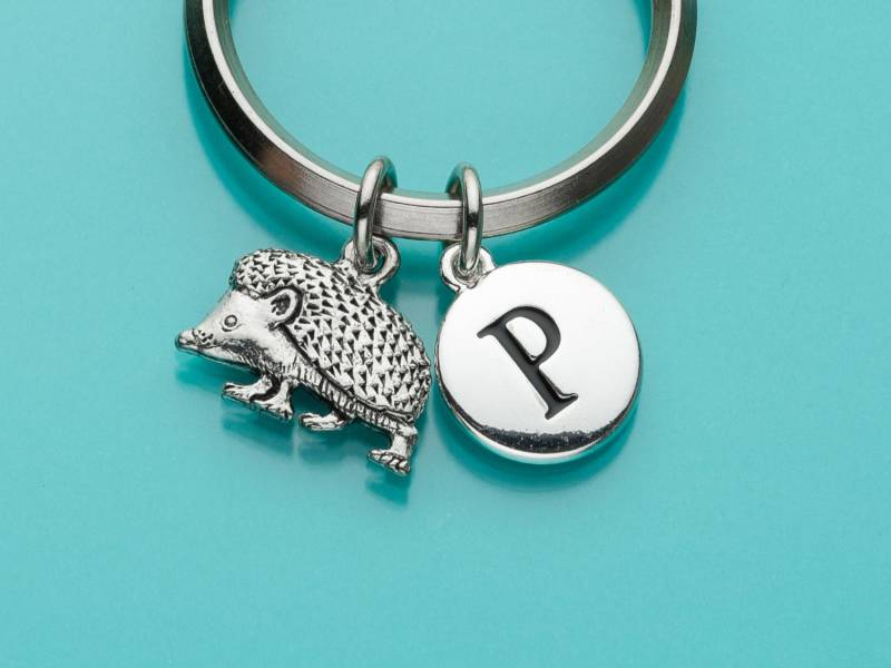 Schlüsselanhänger Igel, Igel Schlüsselanhänger, Anfängliche Keychain, Personalisierte Benutzerdefinierte Keychain Charme 180 von promisemeeverything2