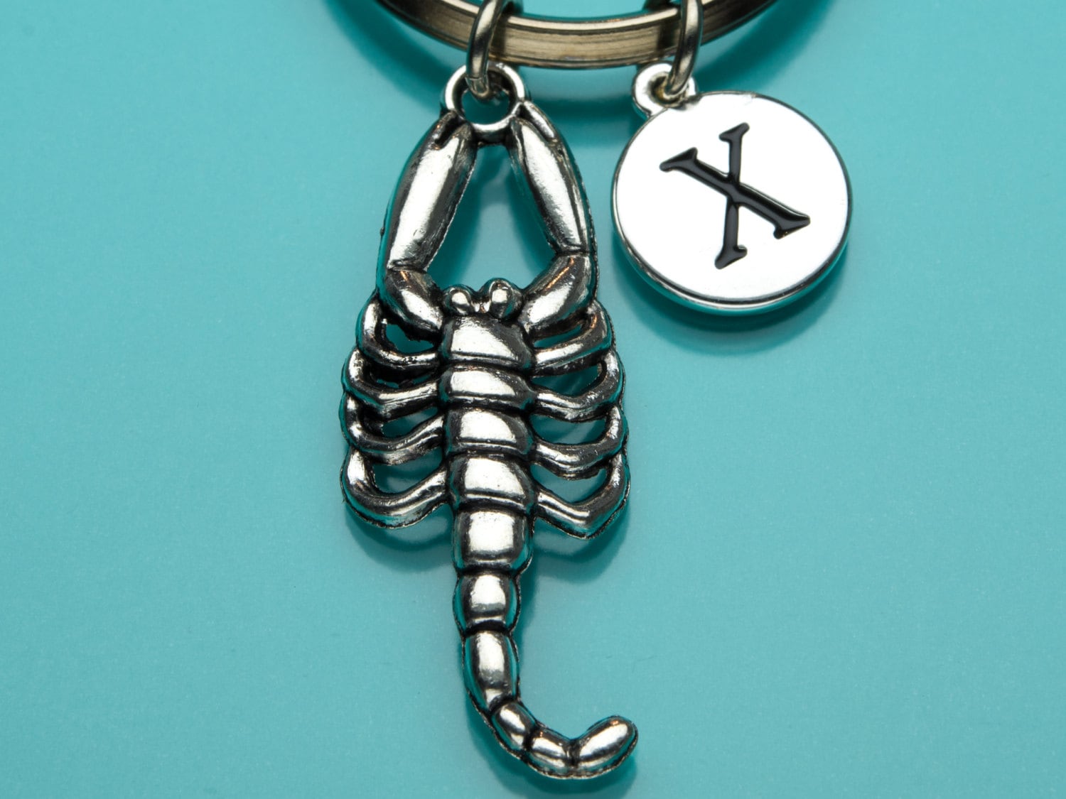 Scorpion-Schlüsselbund, Scorpion-Schlüsselanhänger, Insekt Keyring, Anfängliche Keychain, Personalisierte Benutzerdefinierte Keychain Charme 722 von promisemeeverything2
