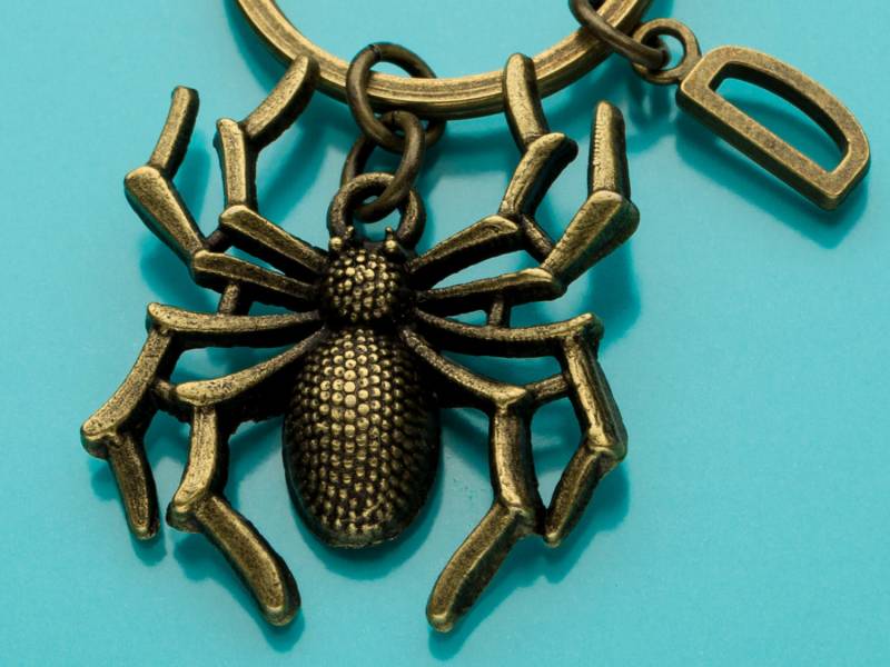 Spinne Schlüsselanhänger, Schlüsselanhänger Bronze Spinne, Insekt Charme, Anfängliche Keychain, Personalisierte Benutzerdefinierte Keychain von promisemeeverything2