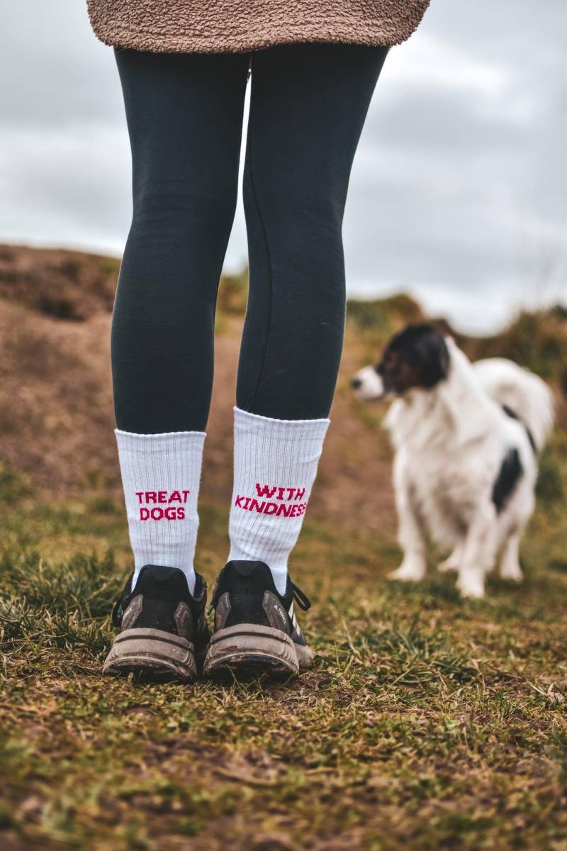 Socken Hund Hundebesitzer Positives Hundetraining Freundlichkeit Gewaltfrei Bedürfnisorientiert von rabaukenglueck