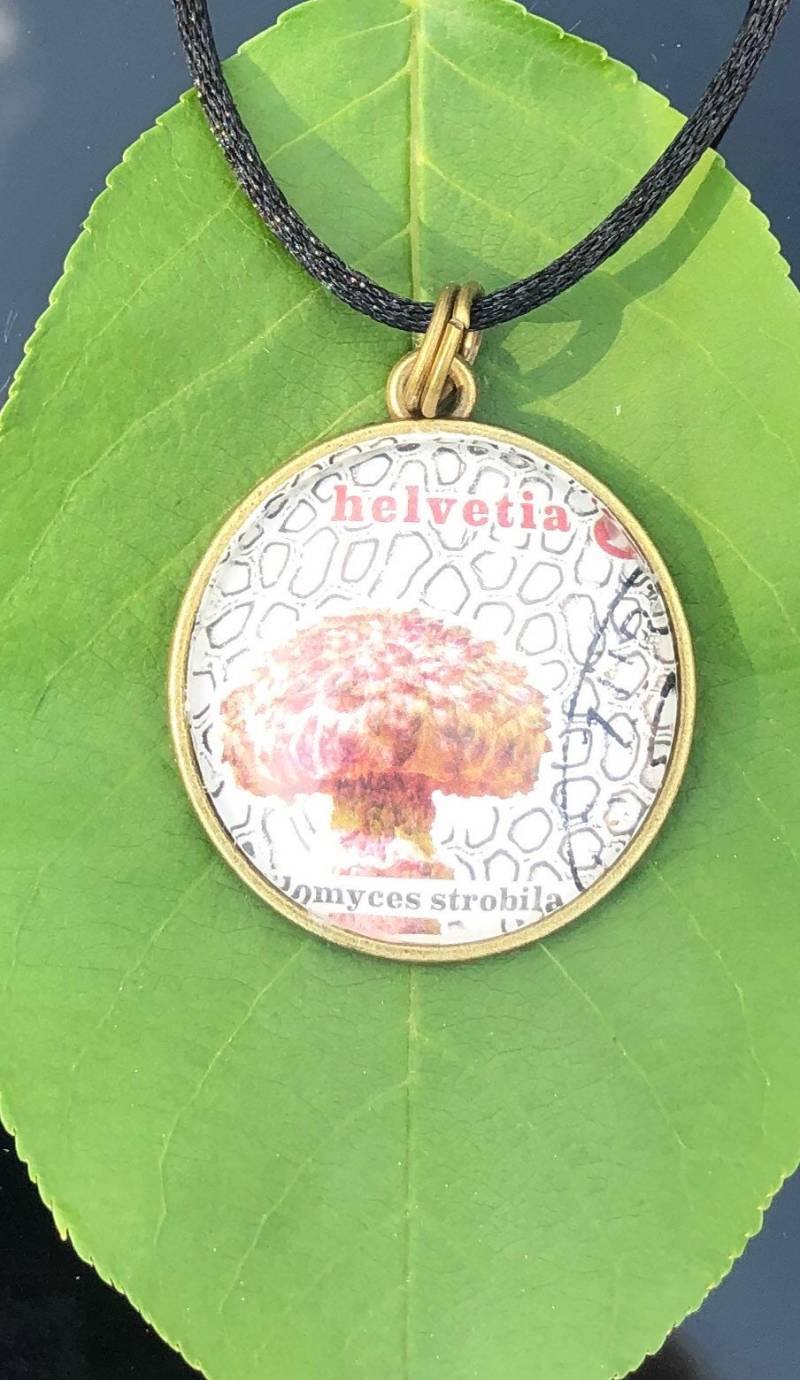 Braune Pilz-stempel Aus 100 % Baumwolle Mit Schwarzer Und Weißer Kordel von rachiedaze