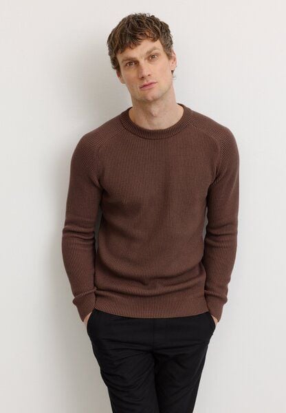 Herren Strickpullover aus Bio-Baumwolle - SALVIA - recolution von recolution