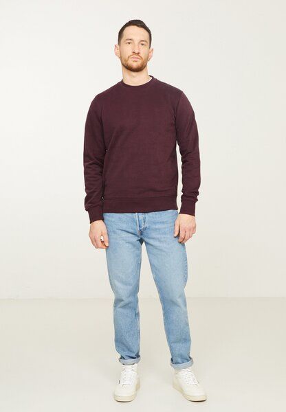 Herren Sweatshirt aus Bio-Baumwoll-Mix - TAMARILLO - recolution von recolution