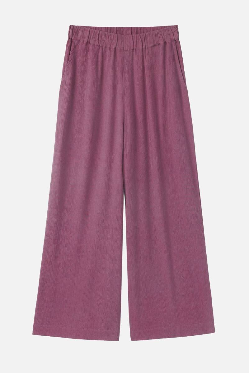 Hose Mandevilla von recolution