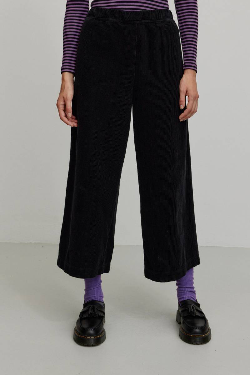 Hose Protea Hose Protea von recolution