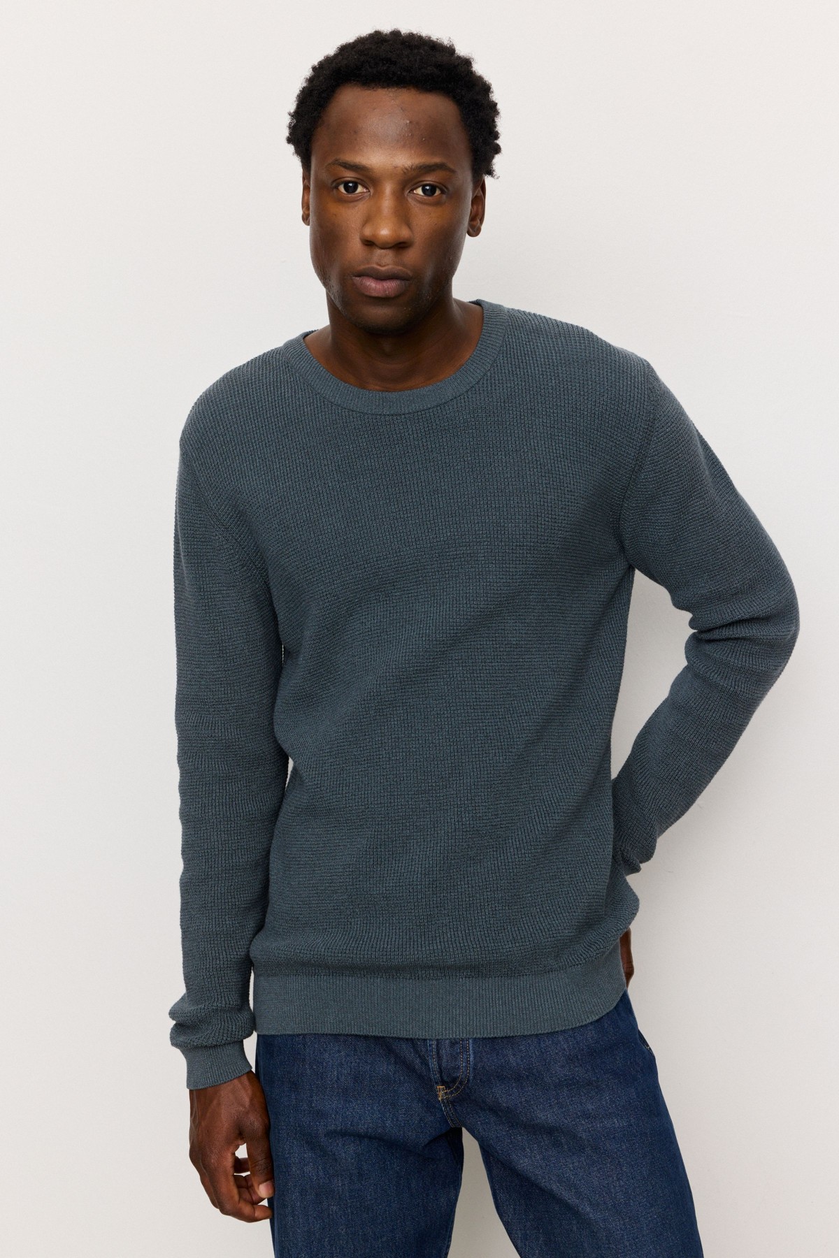 Pullover Bacopa von recolution