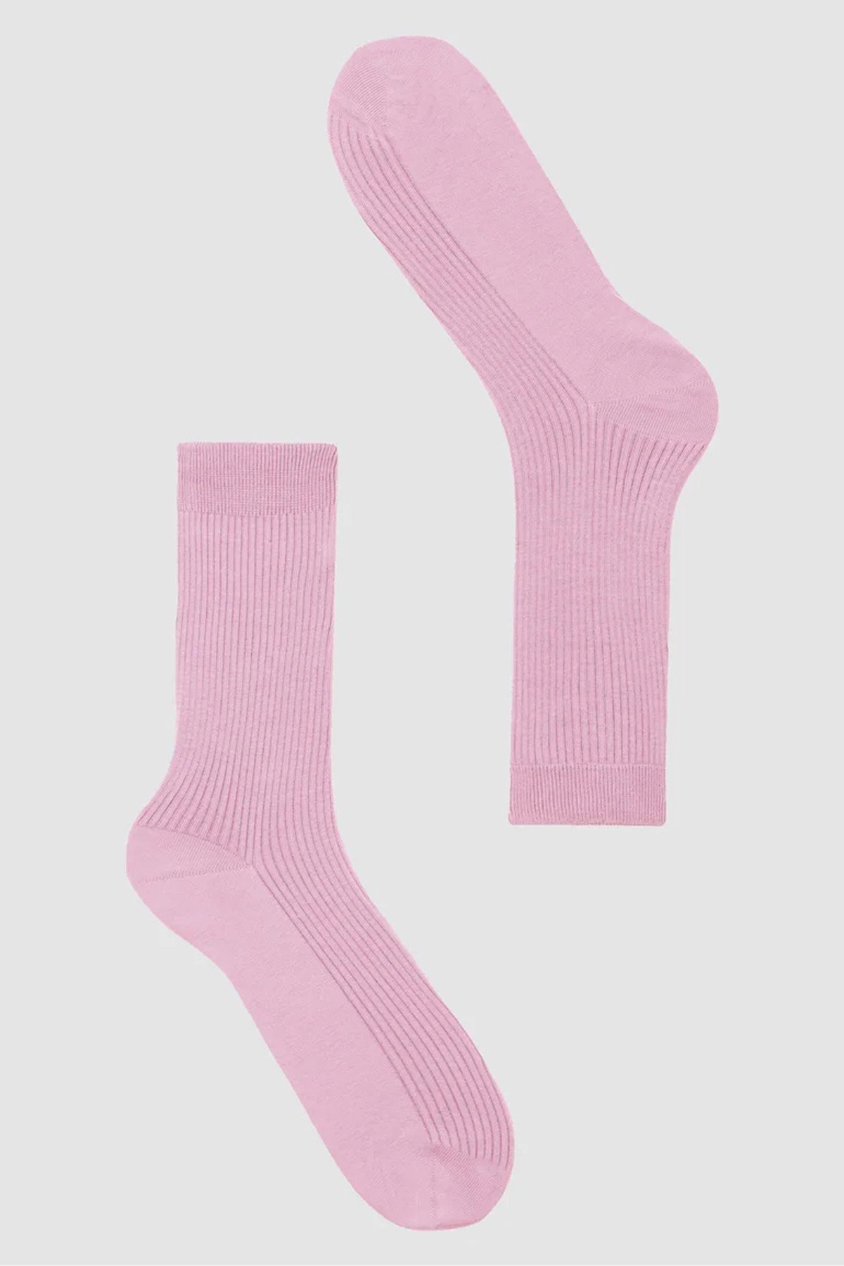 Socken Herb von recolution