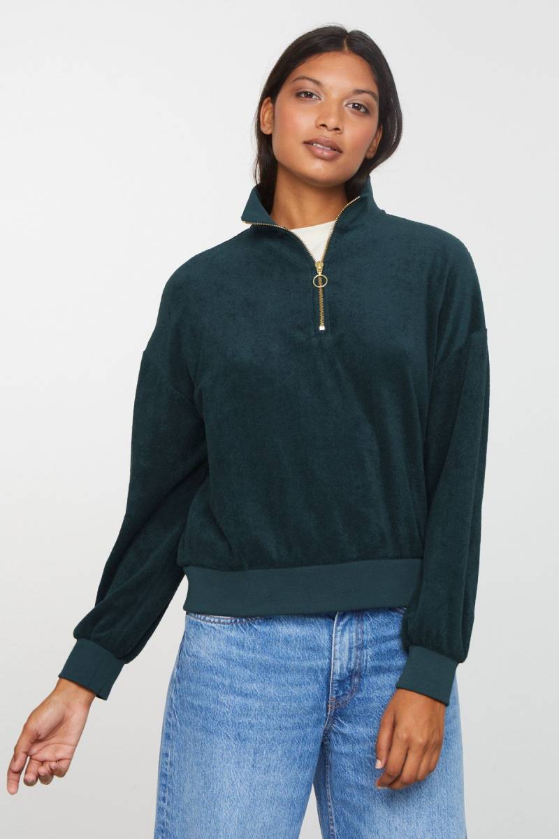 Troyer Hosta von recolution