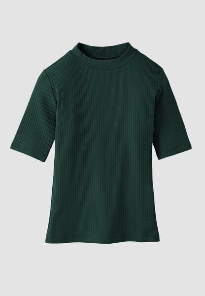 recolution DANDELION von recolution