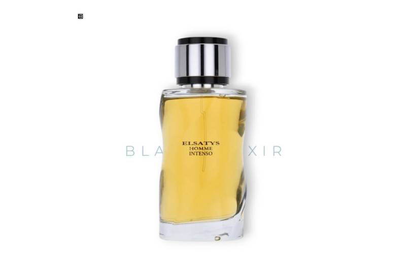 reyane tradition Eau de Parfum Reyane Tradition Elsatys Homme Intense Eau de Parfum 100 ml, 1-tlg., EDP von reyane tradition