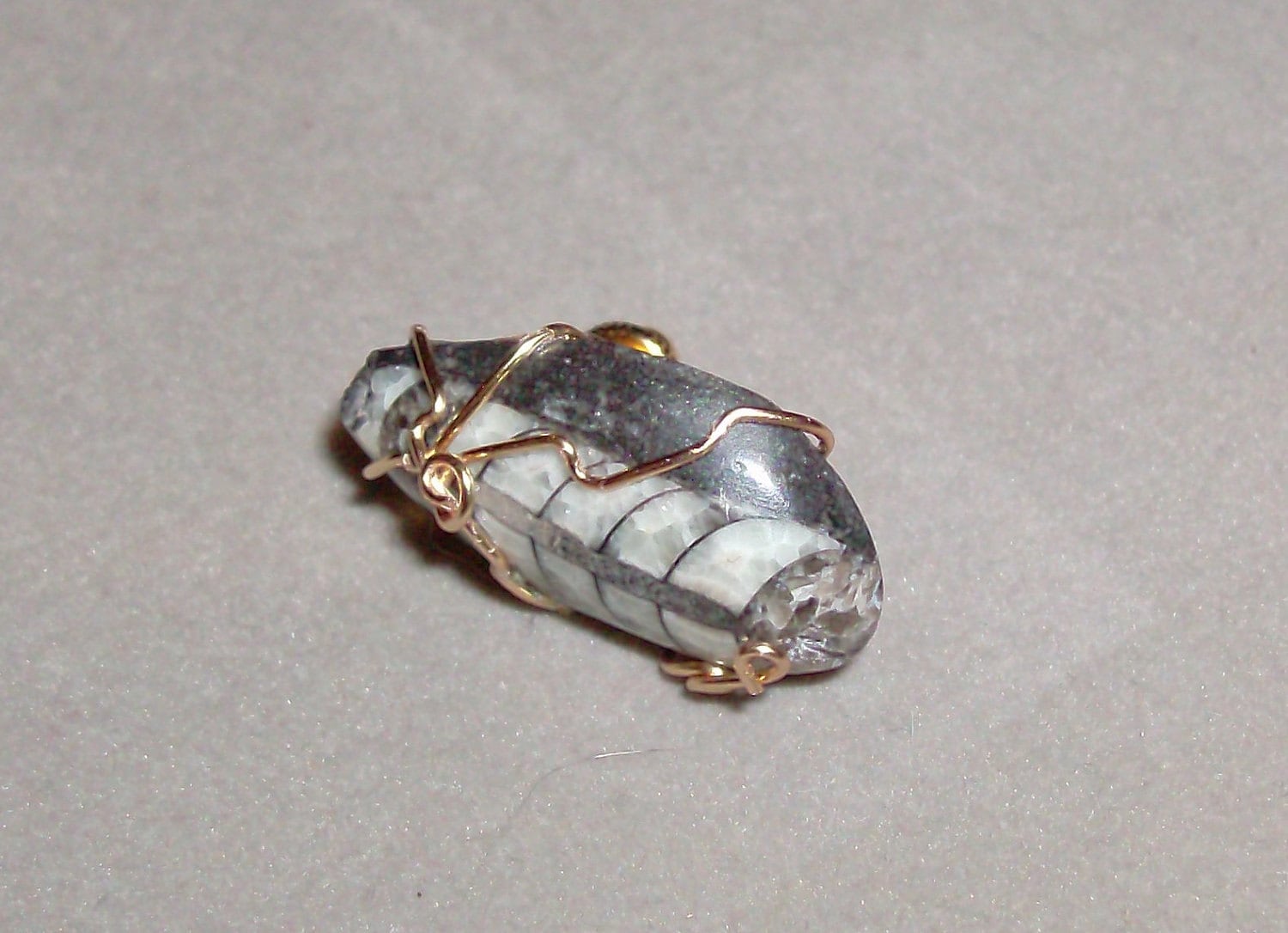Orthroceras Pin von ripitupgenki