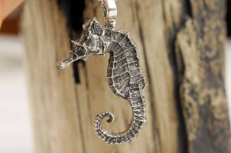 Silber Seepferdchen Halskette Anhänger Sterling von rockmyworldinc