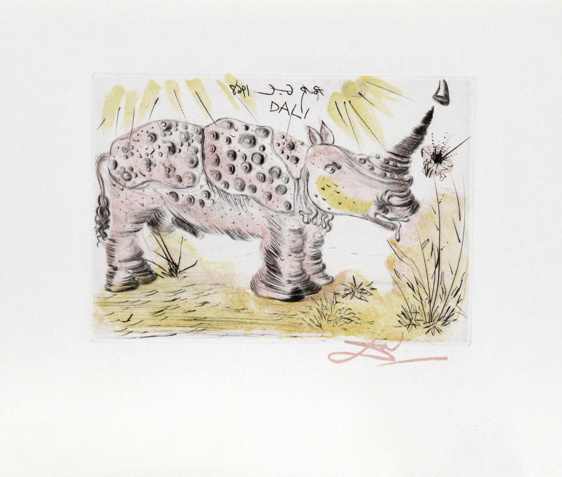 Salvador Dali, Rhinoceros, Restranke Etching, in Der Platte Signiert von rogallery