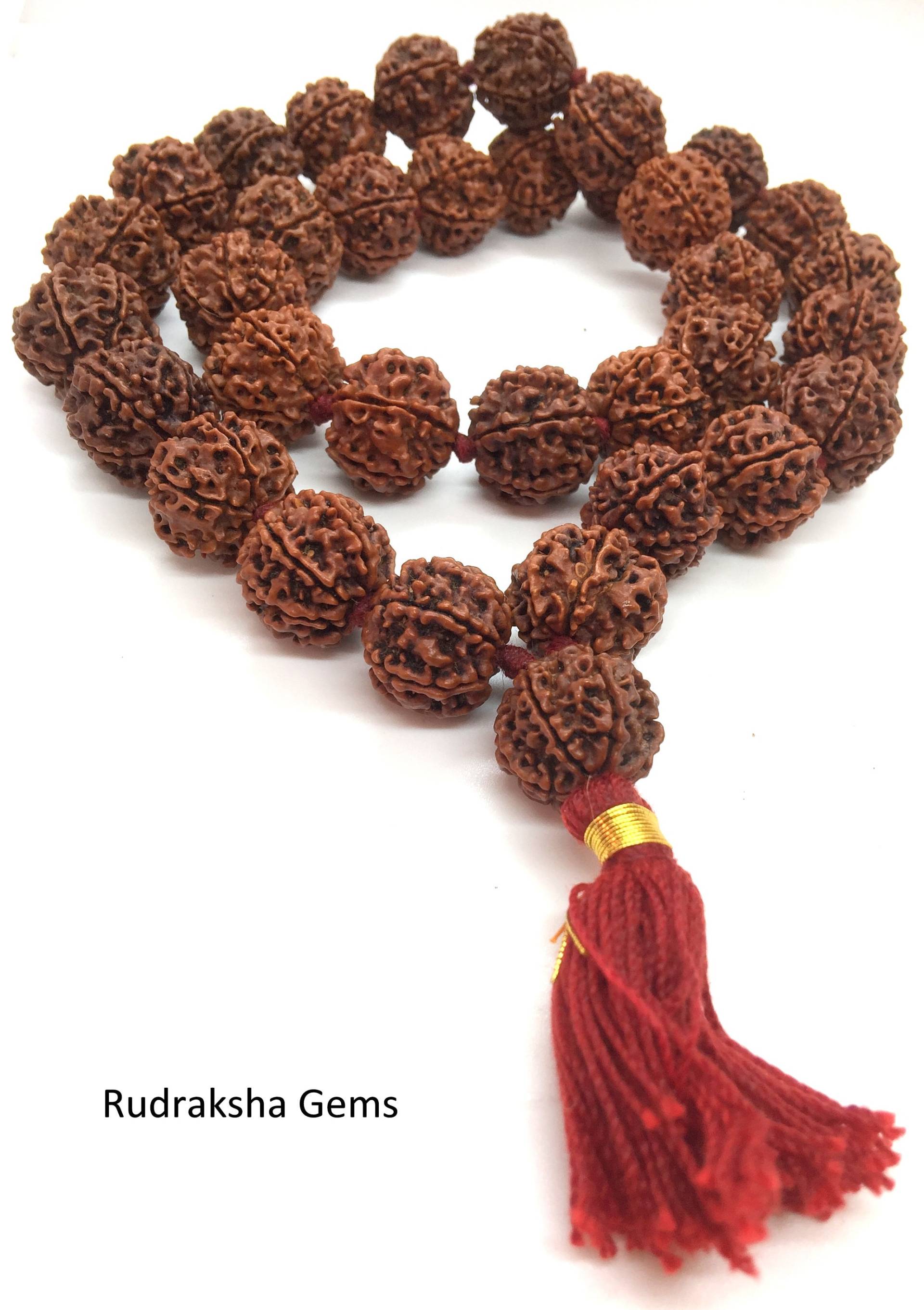 6 Sechs Mukhi Ruraksha Sammler Mala - 32 Rudraksha Perlen Handgeknotete Kantha Premium Gesicht Rudraksh 6 Sechs Mukhi Ruraksha Sammler Mala - 32 Rudraksha Perlen Handgeknotete Kantha Premium Gesicht Rudraksh von rudrakshagems