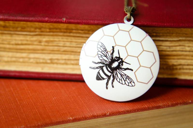 Biene Und Wabe Medaillon Halskette von saffronandsaege