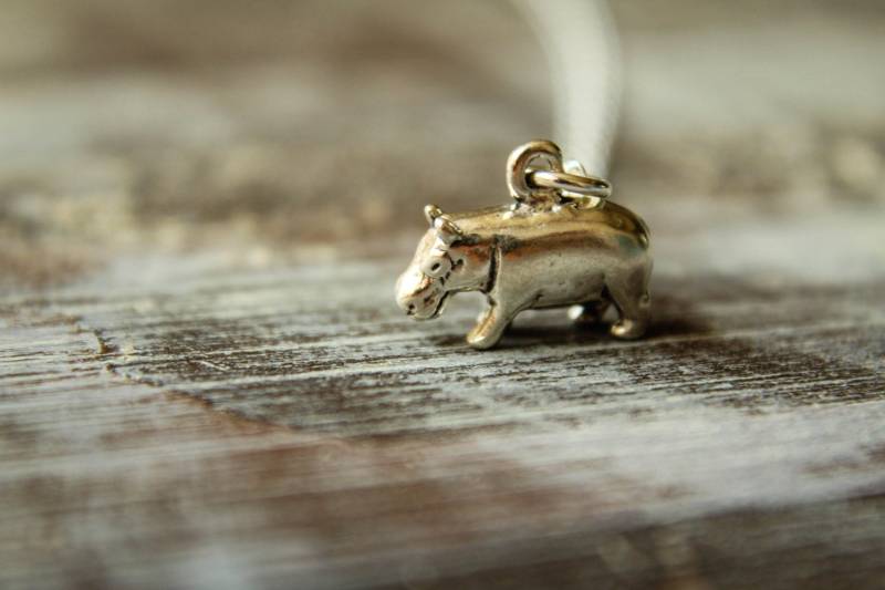 Kleines Nilpferd-Halskette in 925Er Silber von saffronandsaege