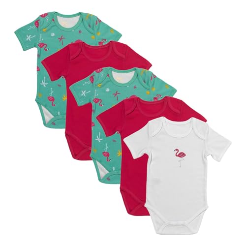 schlummersack Kurzarm Baby Body Set 100% Bio Baumwolle Flamingo Größe 86 12-18 Monate | 5 Stück Body Baby Mädchen - Sommer Babybody Kurzarm Bio Baumwolle | Baby Bodys Mädchen, Bodys Baby Mädchen Pack von schlummersack