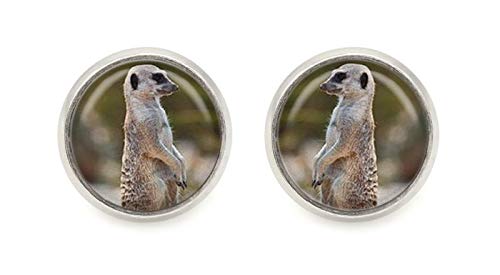 Erdmännchen Motiv Cabochon Ohrstecker silber-farben Ohrringe von schmuck-stadt