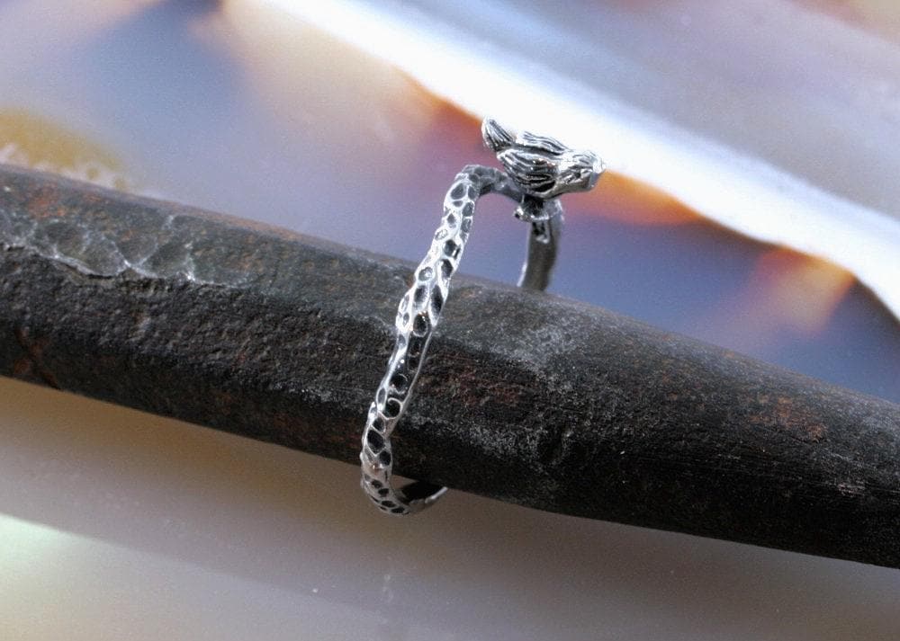 Vogel, Silberring, Ring von schmuckplantage