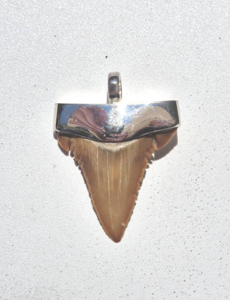 Versteinerter Haizahn Anhänger Silber Palaeocarcharodon Orientalis 60 Mio Jahre Fossil Marokko Paläozän Khouribga Unikat Schmuck | 1419 von schmuckrauschVINTAGE