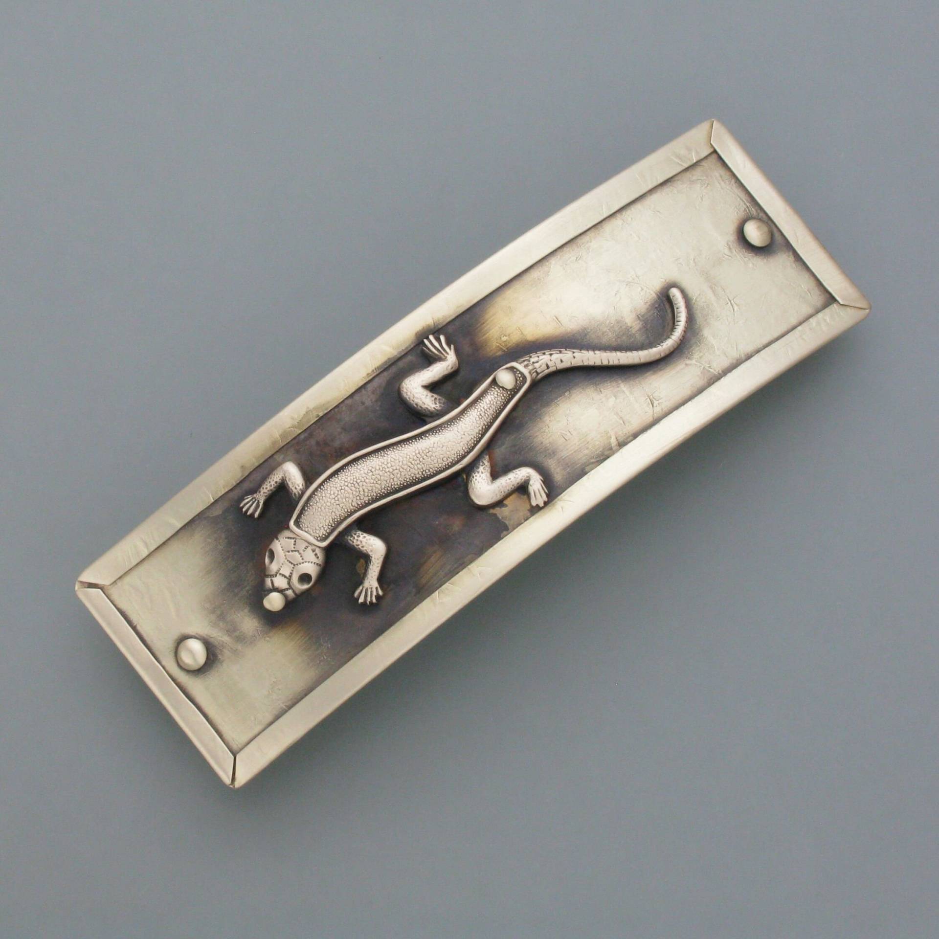 Hair Clip Salamander Hair Clip Salamander von schmuckwerkshop