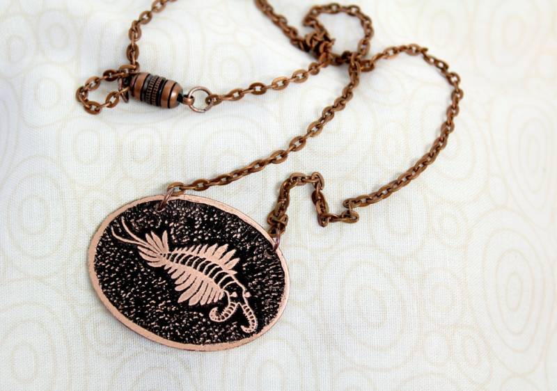 Geätzter Kupfer Anomalocaris Burgess Shale Design Anhänger Halskette von scientifiques