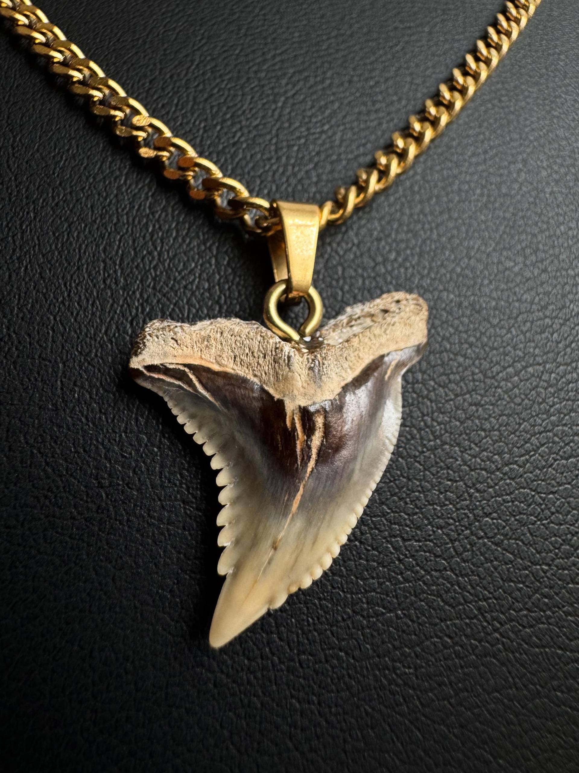 Echte Versteinerte Haifisch Zahn Kette 18K Vergoldeter Hakenzahn - 10-24 Millionen Jahre Alter Echte Versteinerte Haifisch Zahn Kette 18K Vergoldeter Hakenzahn - 10-24 Millionen Jahre Alter von sharkheritage