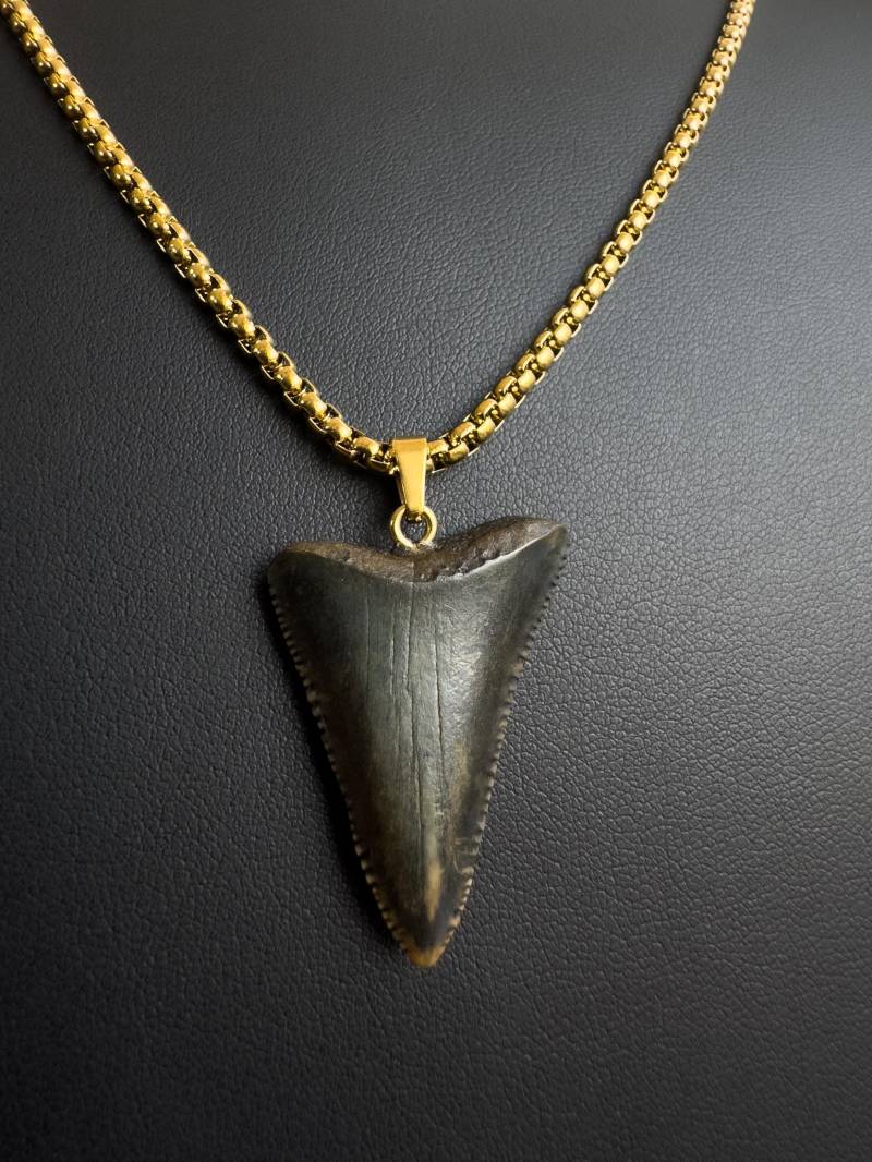 Zahn Halskette Des Weißen Hais - Echter Versteinerter 3, 3 cm Lang Schwarze Färbung 18K Gold Wasserfest Herrenschmuck Zahn Halskette Des Weißen Hais - Echter Versteinerter 3, 3 cm Lang Schwarze Färbung 18K Gold Wasserfest Herrenschmuck von sharkheritage