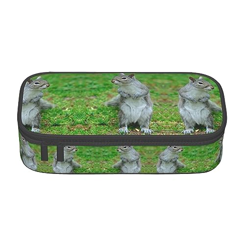 shgwehh Großes Federmäppchen für Jungen und Mädchen, tropische Palmen, Federmäppchen mit großen Fächern für Schule, Schreibwaren, Büro und Reisen, Blau, Eichhörnchen1, Einheitsgröße, Taschen-Organizer von shgwehh