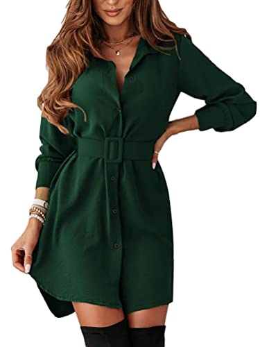 shownicer Minikleid Damen Elegant Kleid Langarm A-Linie Hohe Taille Kleider Casual Kurz Minikleid Einfarbig Freizeitkleid Kurzkleid A Grün L von shownicer