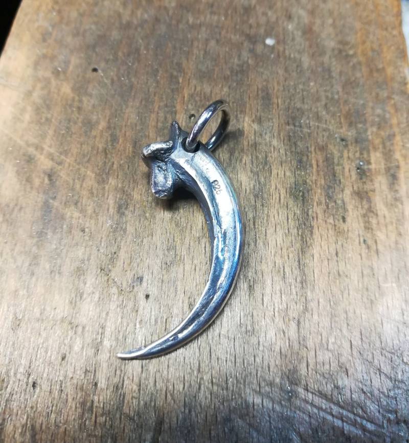 Habicht Single Talon - 1.ziffer Sterling Silber von skeletos