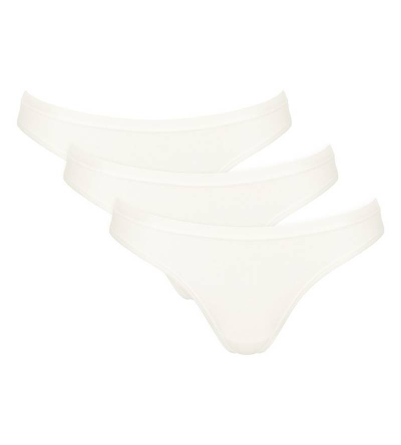 sloggi Minislip GO Daily Cotton (3er Pack) flacher Elastikbund, Baumwollmix, bequem, weich von sloggi