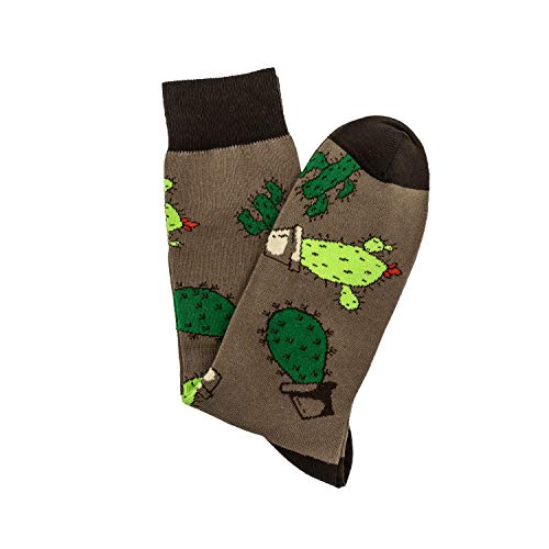 sockmash Kaktus Socken, farbenfrohes und fröhliches Motiv im Wüsten Style für Mann und Frau, mehrfarbig Gr. 39 - 42 von sockmash