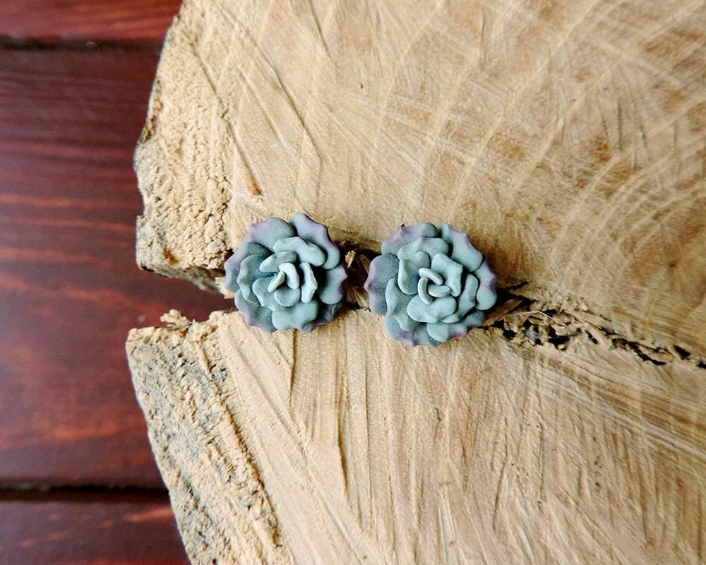 Sukkulenten Ohrringe Ohrstecker, Grüne Sukkulente, Polymer Clay Schmuck, Bolzen, Ohrringe, Verfügbar Sukkulenten Ohrringe Ohrstecker, Grüne Sukkulente, Polymer Clay Schmuck, Bolzen, Ohrringe, Verfügbar von sofoxyclay