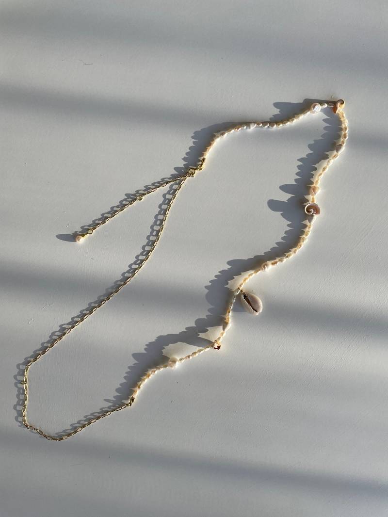Shell Belly Chain Shell Belly Chain von solannathelabel