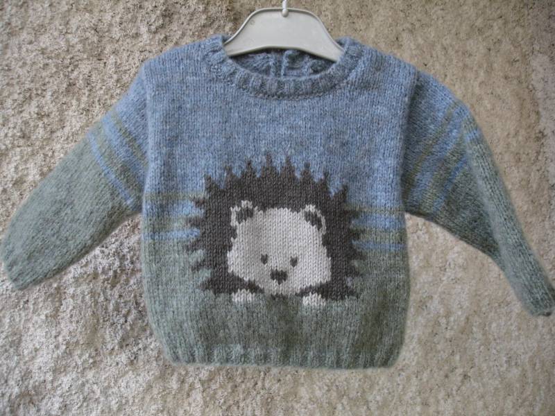 100 % Handgemachter Babypullover Mit Igelmuster Von 3 Monaten Bis 2 Jahren 100 % Handgemachter Babypullover Mit Igelmuster Von 3 Monaten Bis 2 Jahren von souricettecreation