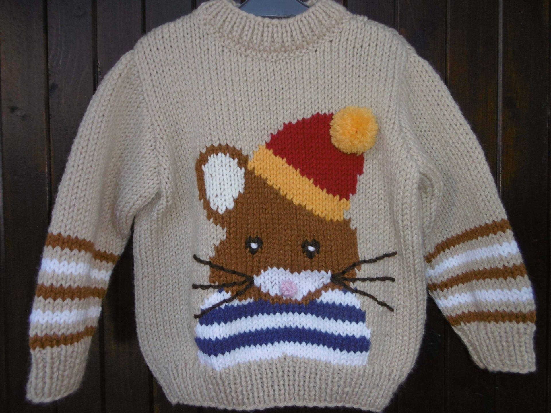 Handgestrickter Jungenpullover Mit Rattenmotiv Von 2 Bis 6 Jahren von souricettecreation