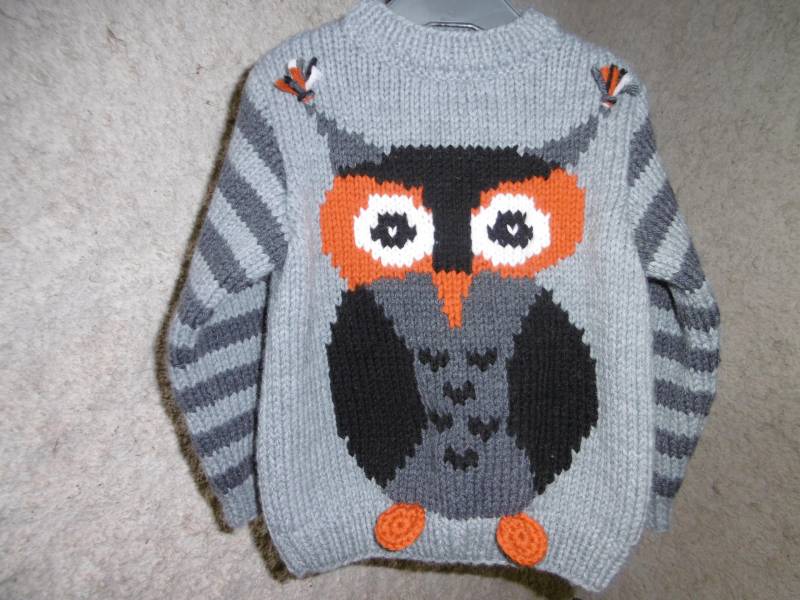 Pullover Jungenmuster Eule Von 2 Jahren Bis 6 Handgestrickt von souricettecreation