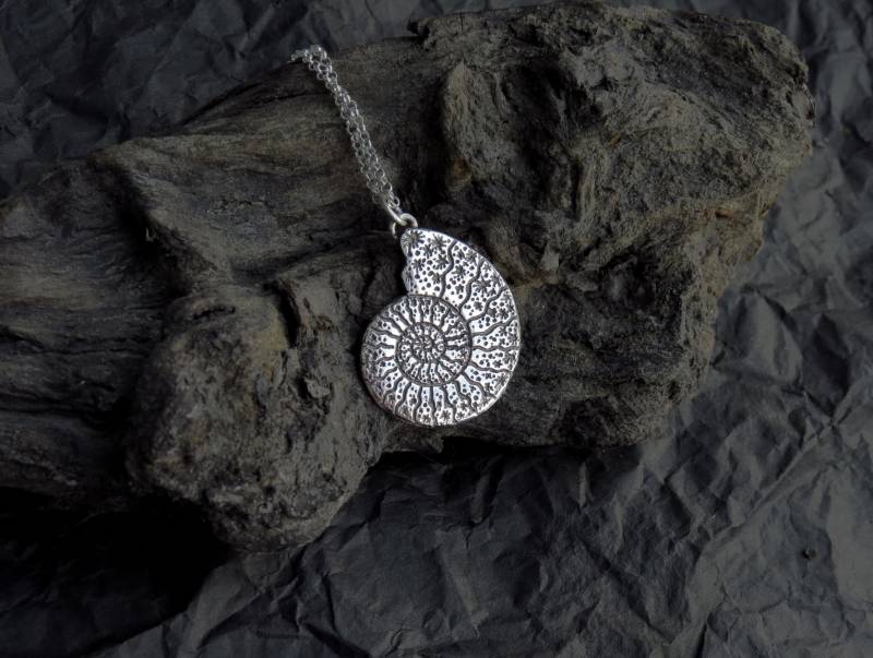Ammonit Halskette - Silber Schneckenhaus Fossilien Spiral Stern Nautilus Shell Ammonit Halskette - Silber Schneckenhaus Fossilien Spiral Stern Nautilus Shell von spaceweaver
