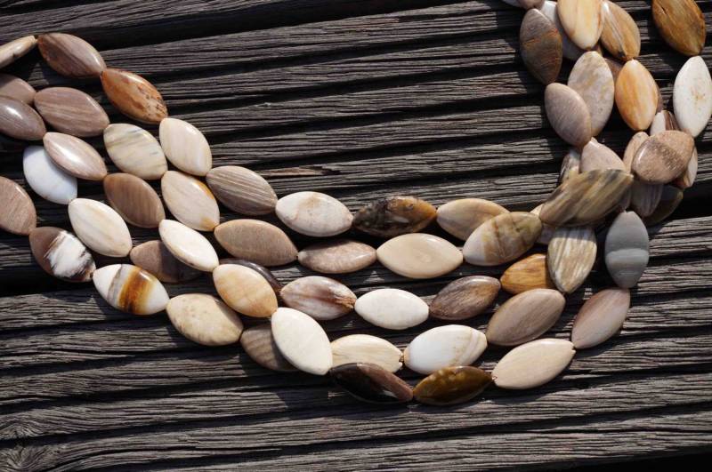 Versteinerte Palmholz Marquise Perlen 10-13 Mm, 16 Inch Strang von sparklelittle