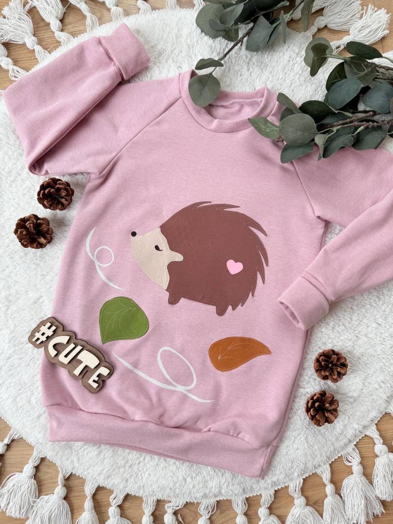 Raglan Sweater | Longsweater Igel Mädchen Kinderkleidung von sschleifenliebee