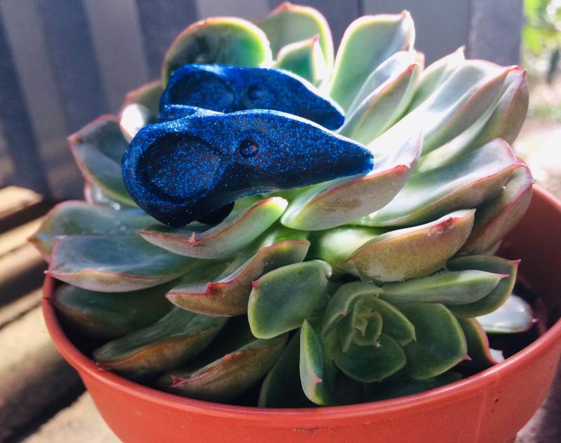 Glitzernder Dunkelblauer Kunstharz Vogelschädel Kragen Pin Set - Handgemachte Brosche, Sterngesicht von sternfacesternface