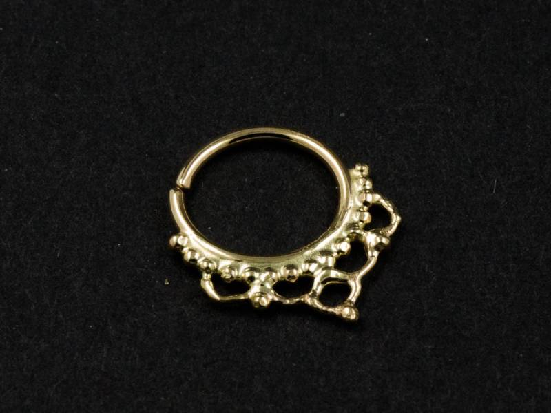 14K Gold Kolibri Septum Ring Nasen/Tragus Piercing Schmuck von studiolil