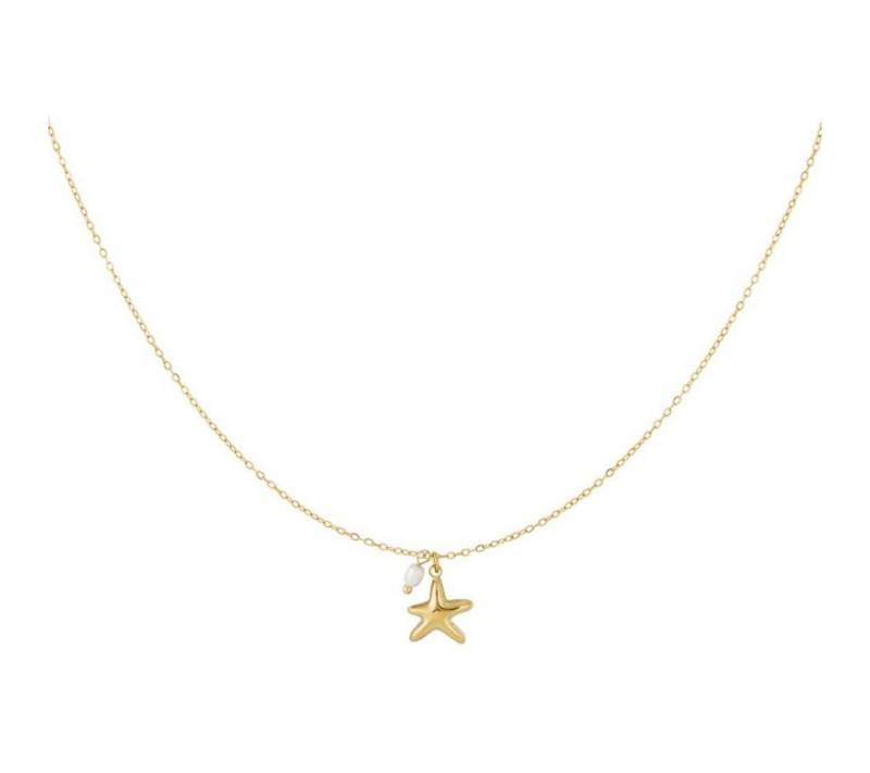 suebidou Edelstahlkette Damen Halskette gold 'Starfish' suebidou Edelstahlkette Damen Halskette gold 'Starfish' von suebidou