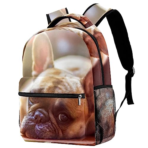 suojapuku Klassischer Rucksack,Reisetasche,Outdoor-Rucksack,Französischer Bulldogge liegend,Leichter Rucksack für Damen und Herren von suojapuku